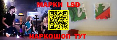 spice Гай
