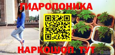 гашик Гагарин